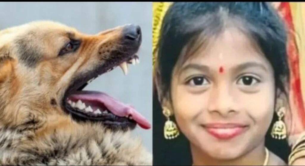 Rabies disease | రేబిస్ వ్యాధితో చిన్నారి మృతి