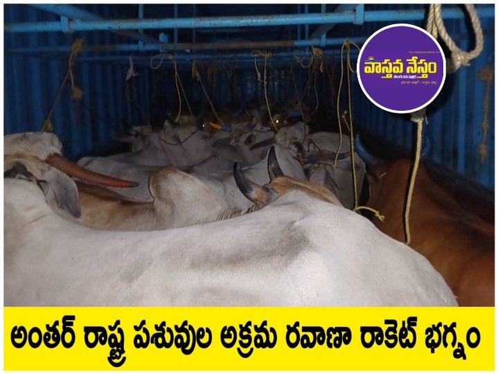 Resize_20251105_193047_7818