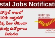 Postal Jobs 2025 Notification Details | పోస్టల్ శాఖలో 10వ తరగతితో పరీక్ష లేకుండా అవకాశం