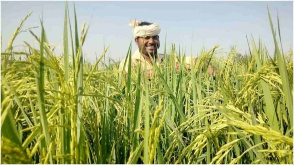 Farmer Registration | రైతుకు డిజిటల్ గుర్తింపు… పథకాలన్నీ ఒకే దారిలోకి: ‘ఫార్మర్ రిజిస్ట్రీ’తో వ్యవసాయ రంగంలో కొత్త అధ్యాయం