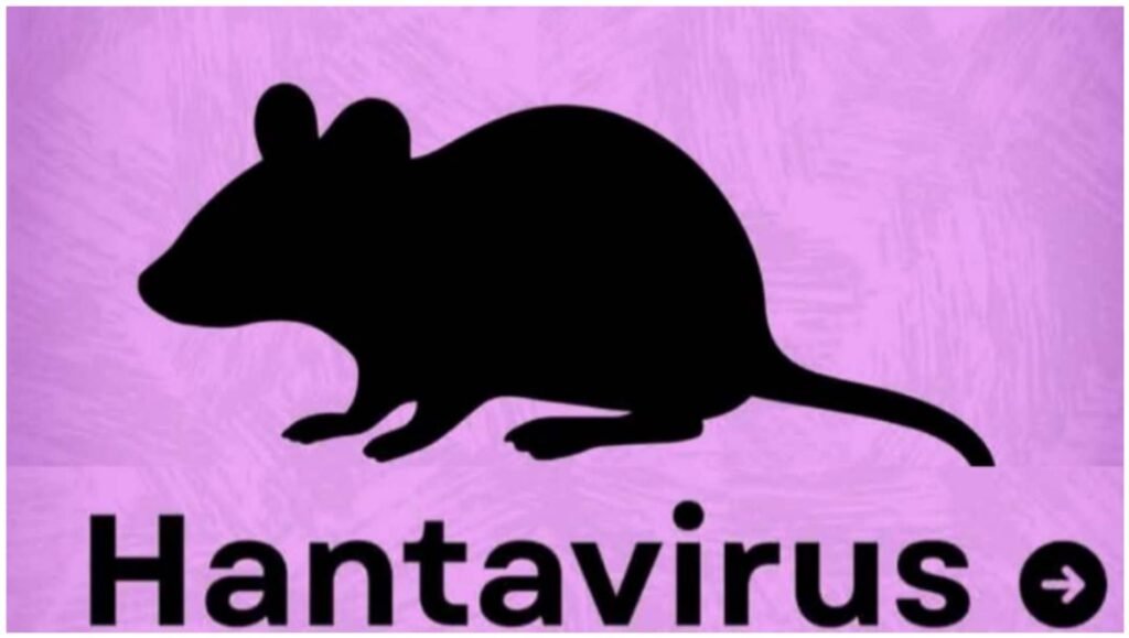 Hantavirus కోవిడ్‌ను మించిన మహమ్మారి హంతా : ప్రపంచ దేశాలకు డబ్ల్యూహెచ్‌వో హై అలర్ట్!
