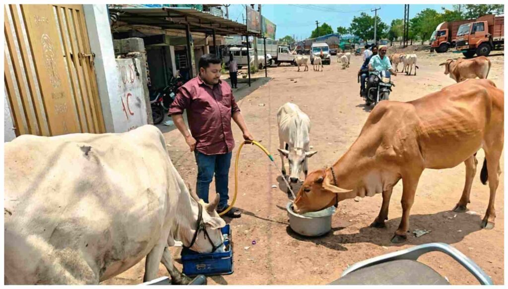 మండే ఎండల్లో మూగజీవాలకు ఆసరా.!