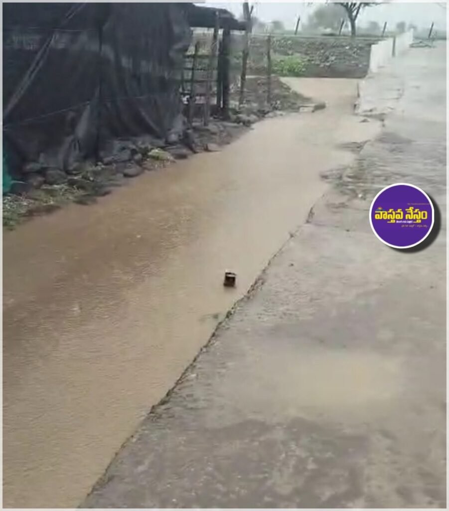 ఎడతెరిపిలేని వర్షం.. దుబార్‌పేట (బి) గ్రామంలో ఇండల్లోకి వరద నీరు