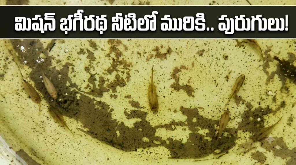మిషన్ భగీరథ నీటిలో మురికి.. పురుగులు!